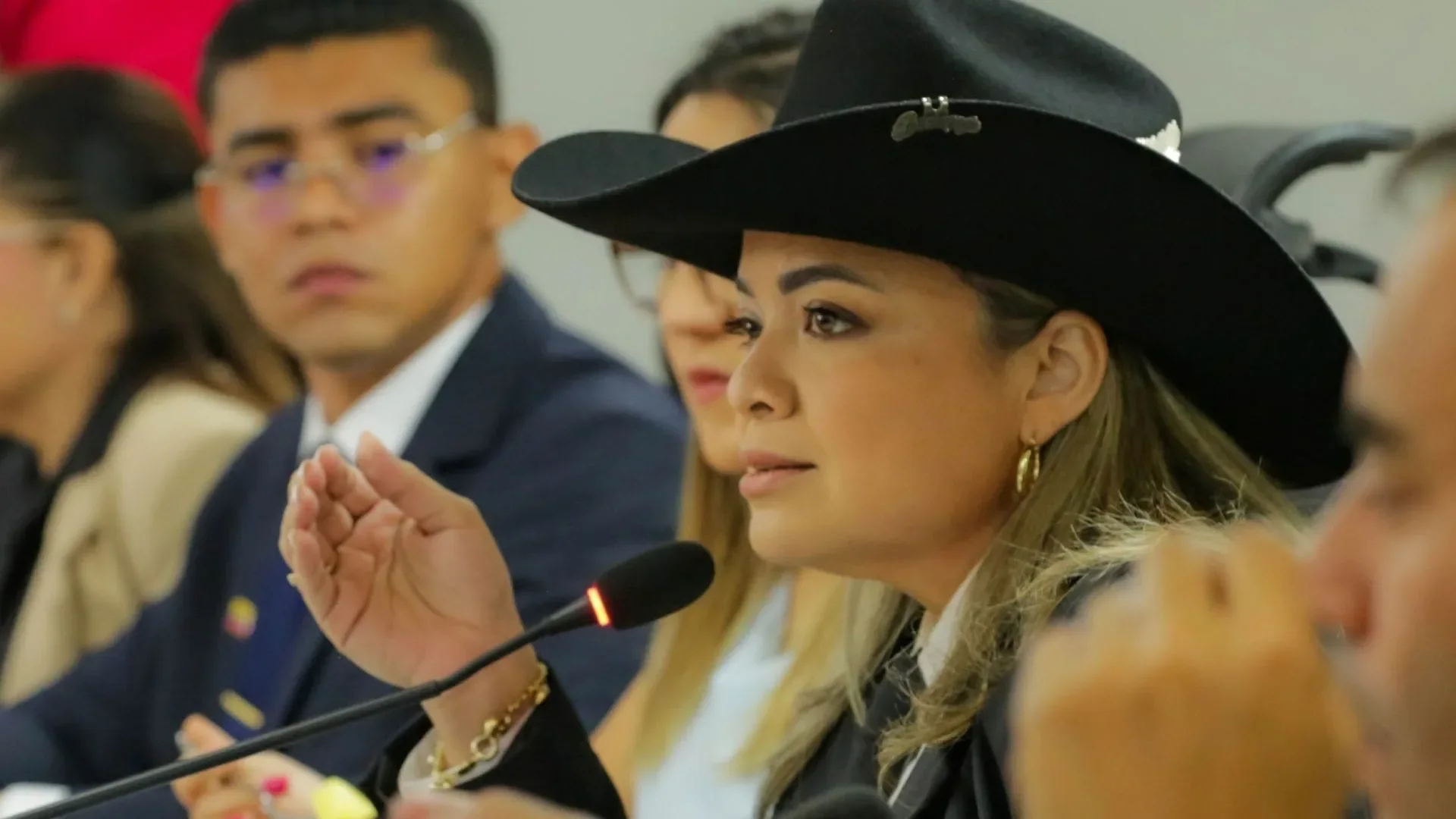 Lina María Garrido, directora de la Agencia Nacional de Tierras, durante la presentación del informe presupuestal.